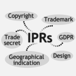 ARTISTIC D.T2.1.3 Diagnosis Checklist for Intellectual Property Rights (IPR) Planning